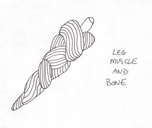 "Anatomy" Drawing- Morphoid leg